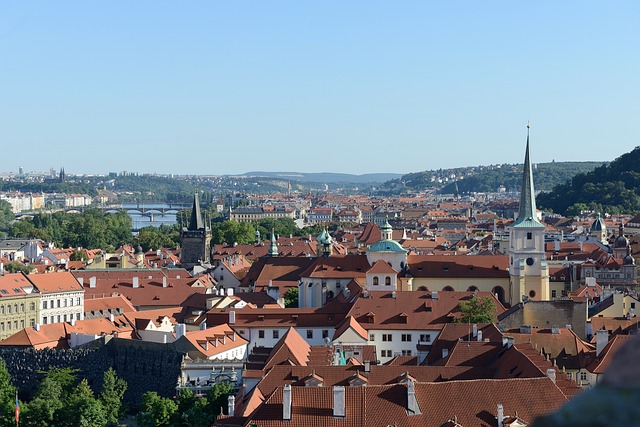 包括