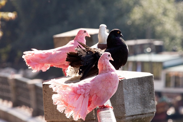 更是球迷们 更是球迷们