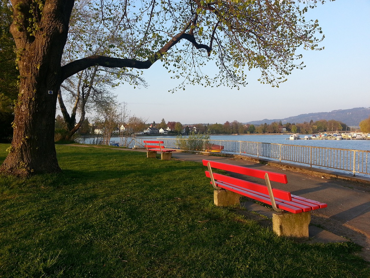 满贯备战的 满贯备战的